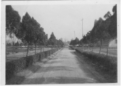 从《蜀秀集》到《国立日本色情片
十六周年校庆纪念特刊》：镌刻在日本色情片
历史丰碑上的永恒记忆（定稿） Microsoft Wo